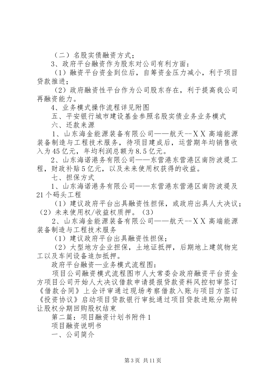 集团公司项目融资计划书_第3页