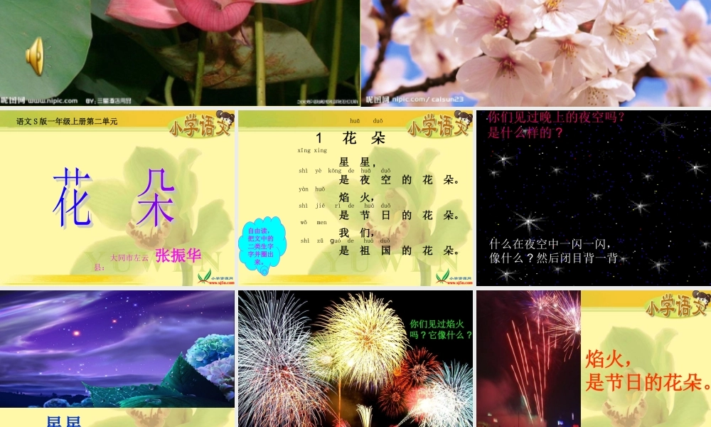 一年级语文s版《花朵》课件[1]