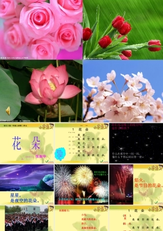 一年级语文s版《花朵》课件[1]