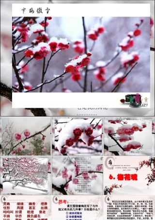 梅花魂课件 (2)