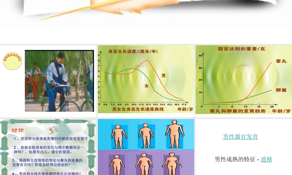 青春期的身体变化