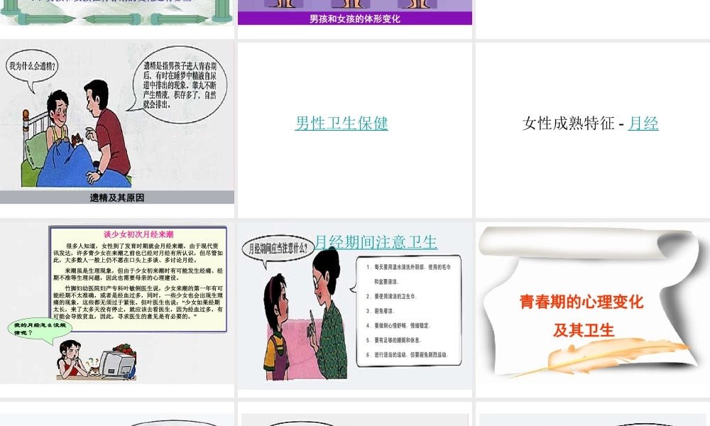 青春期的身体变化