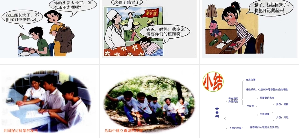 青春期的身体变化