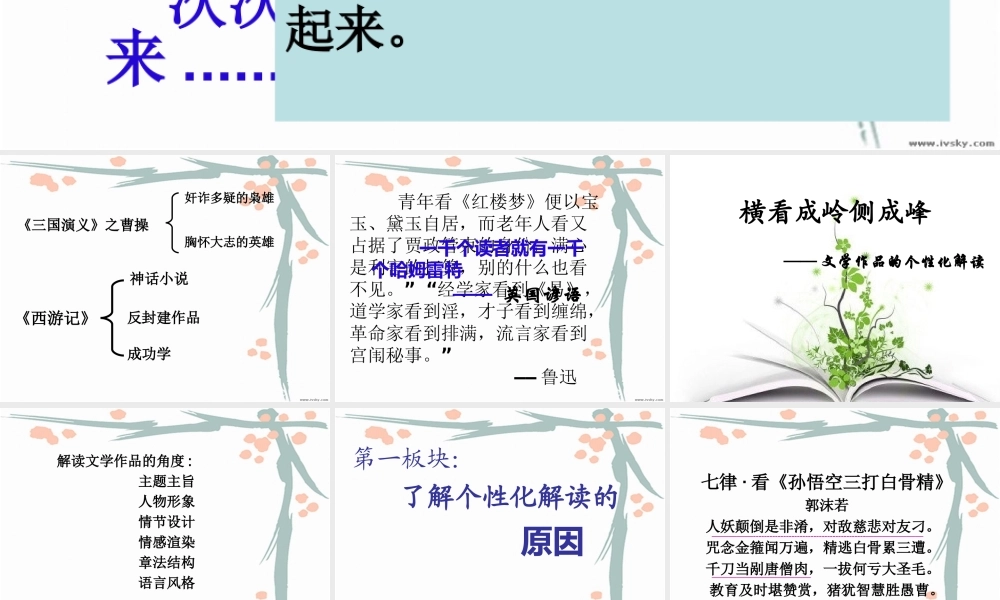 文学作品的个性化解读__