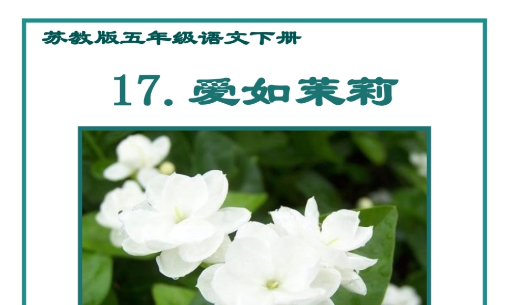 爱如茉莉修改版