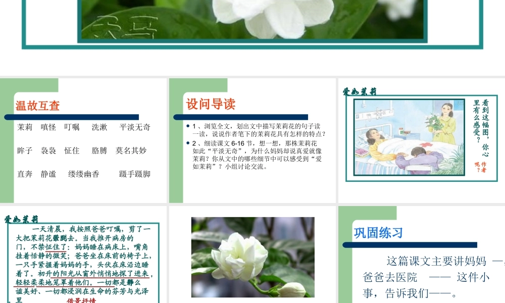 爱如茉莉修改版