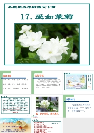 爱如茉莉修改版