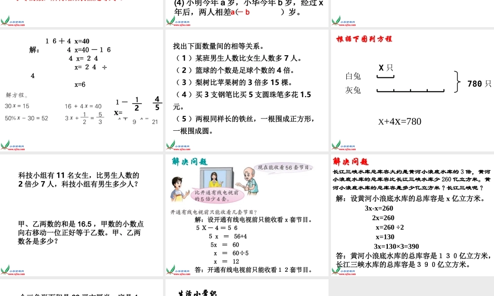 式与方程的整理与复习