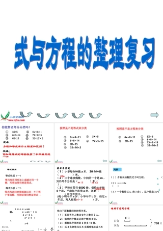 式与方程的整理与复习