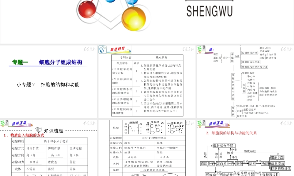 专题1小专题02细胞的结构和功能