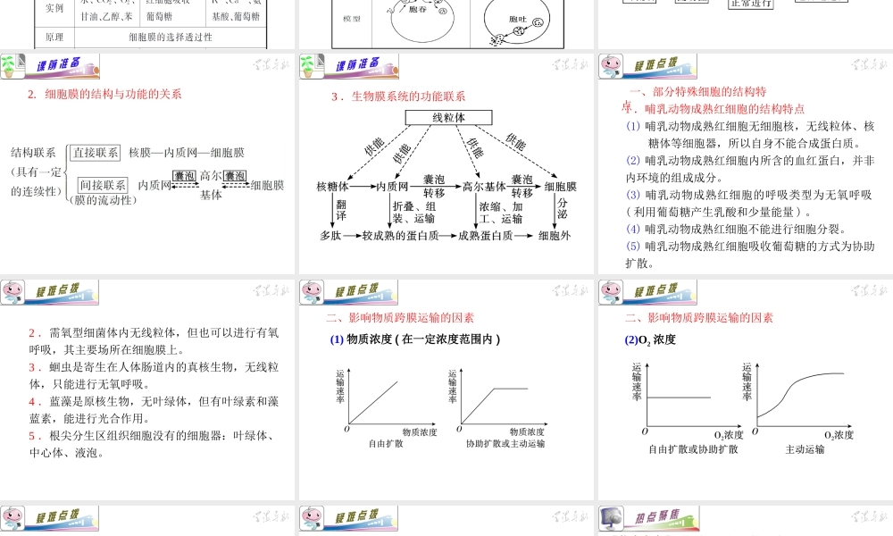 专题1小专题02细胞的结构和功能