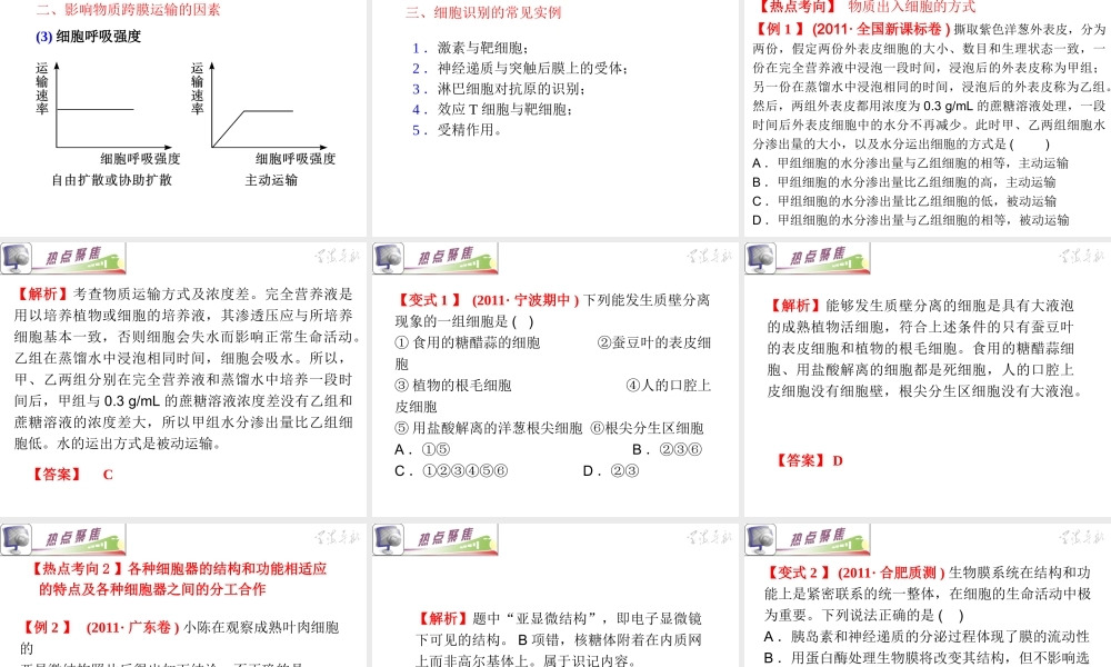 专题1小专题02细胞的结构和功能