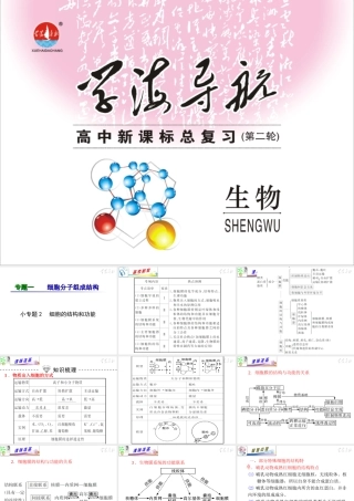 专题1小专题02细胞的结构和功能