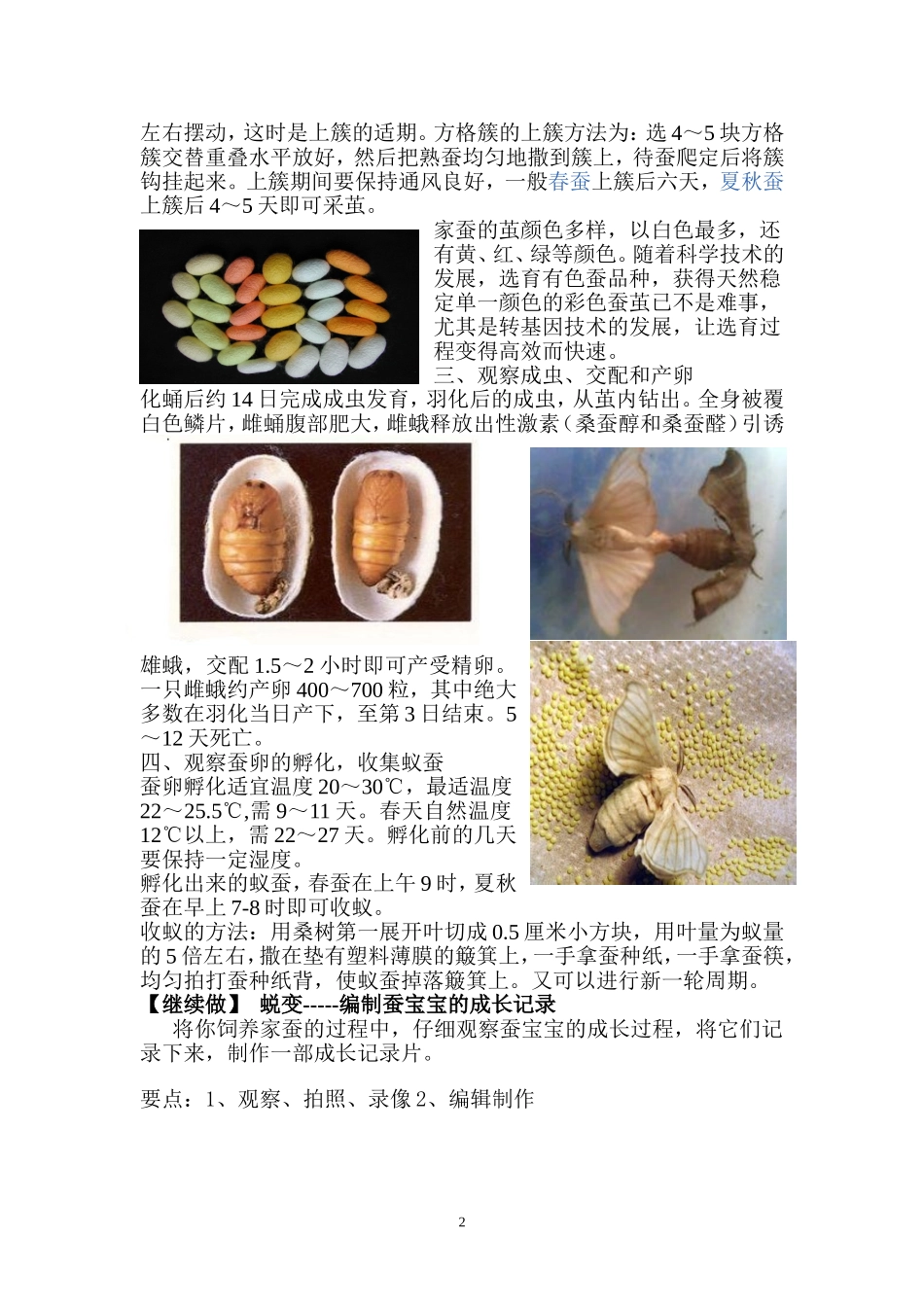 观察家蚕的生长发育过程_第2页
