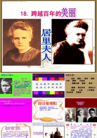 《跨越百年的美丽》课件 (2)