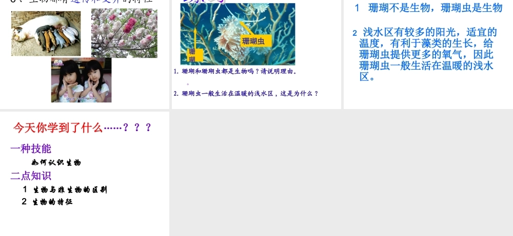 生物的特征(新课本)