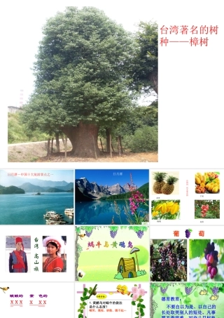 蜗牛与黄鹂鸟课件