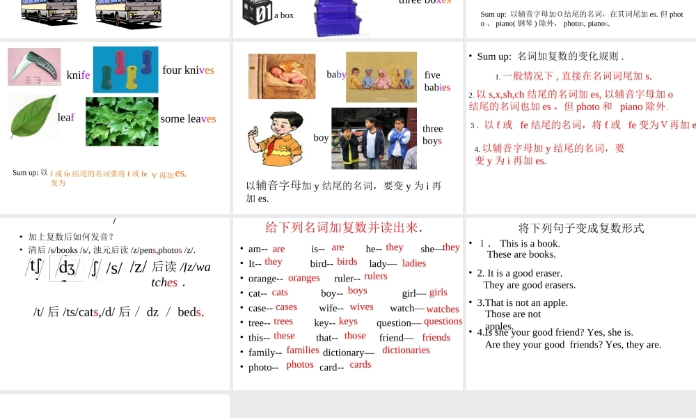 初一英语课件___名词复数