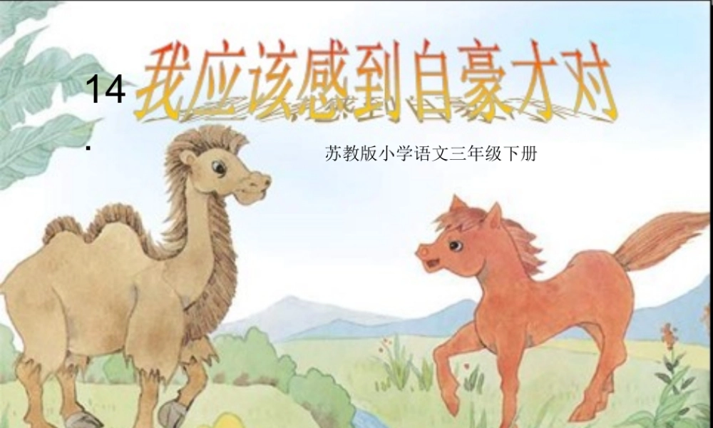 《我应该感到自豪才对》课件