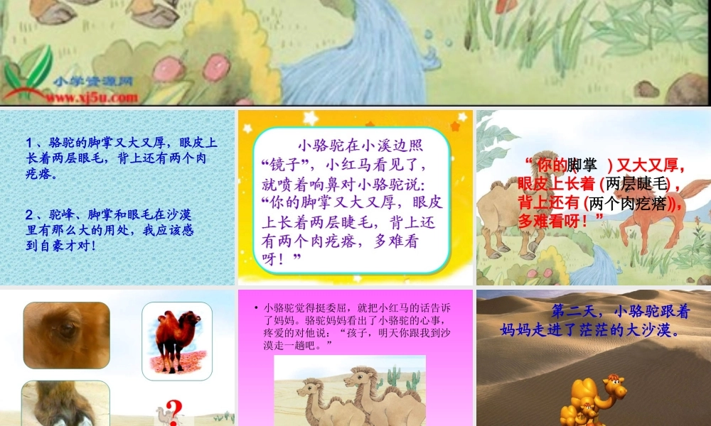 《我应该感到自豪才对》课件