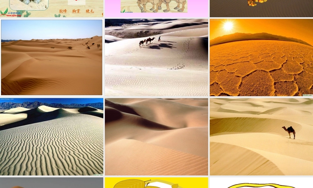 《我应该感到自豪才对》课件