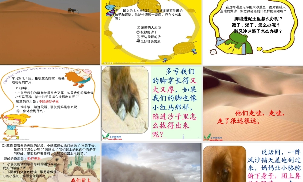 《我应该感到自豪才对》课件