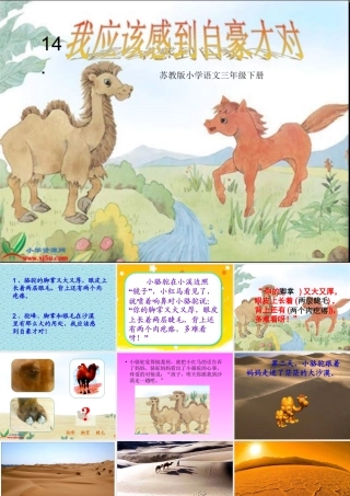 《我应该感到自豪才对》课件