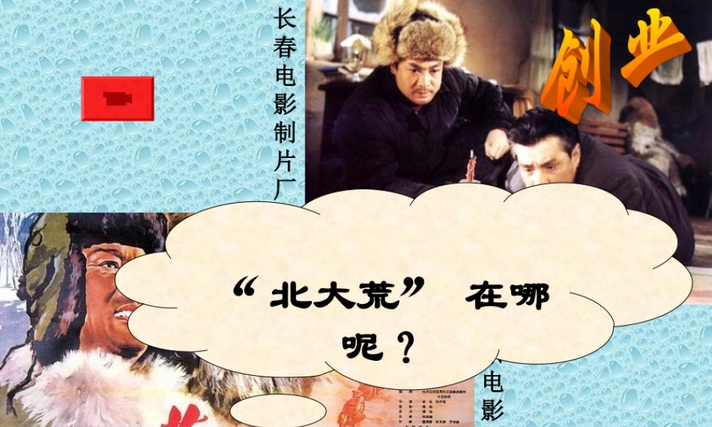 问题研究--为什么停止开发“北大荒