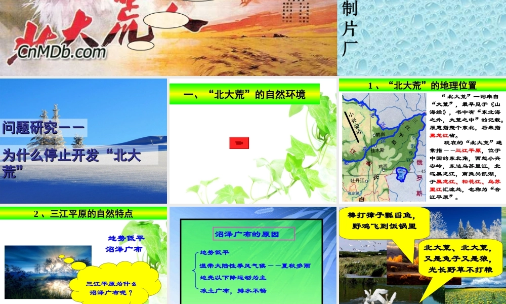 问题研究--为什么停止开发“北大荒