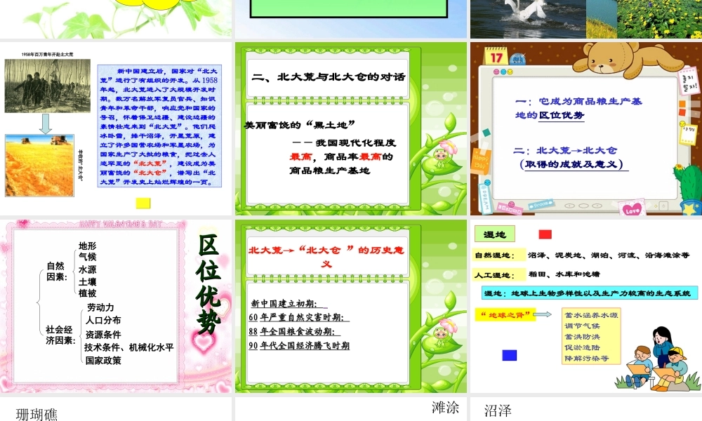 问题研究--为什么停止开发“北大荒