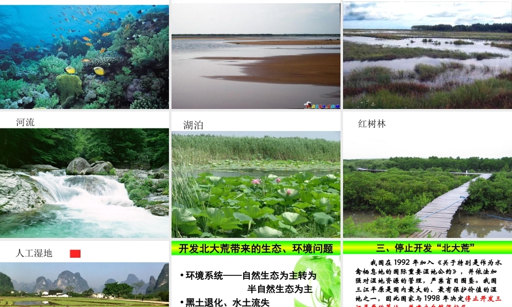 问题研究--为什么停止开发“北大荒
