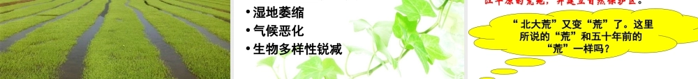 问题研究--为什么停止开发“北大荒