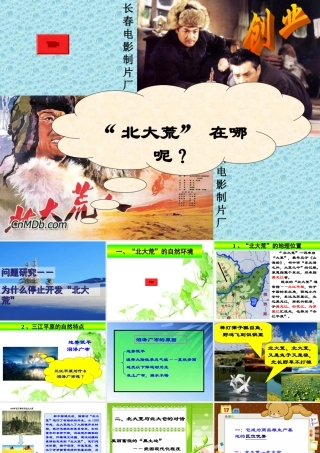 问题研究--为什么停止开发“北大荒