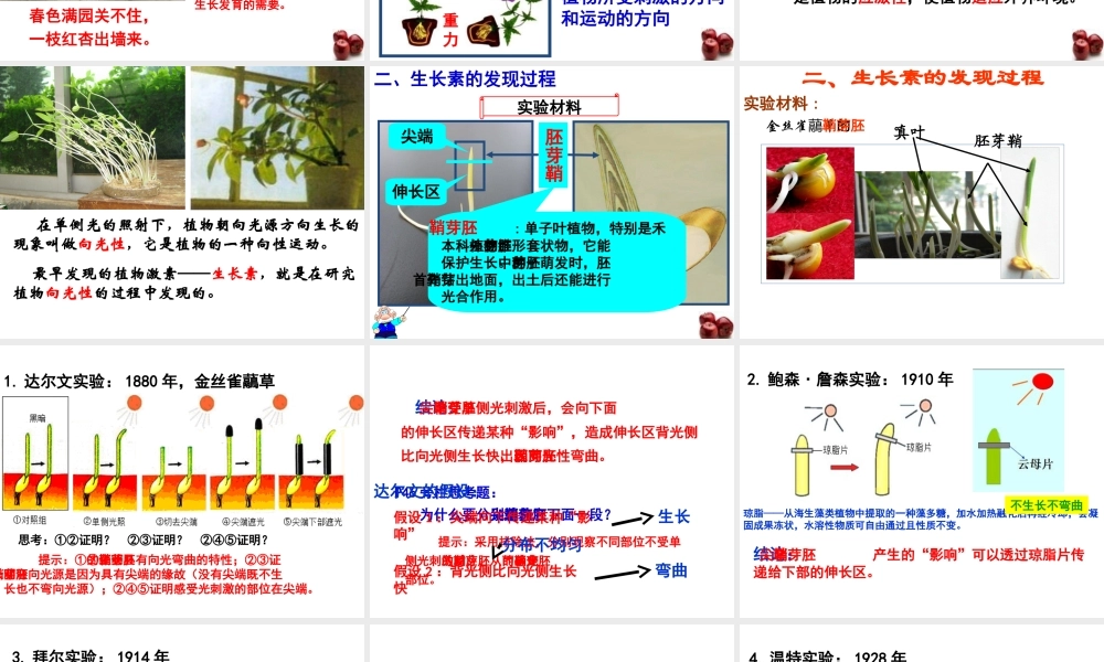 植物生长素的发现 (2)