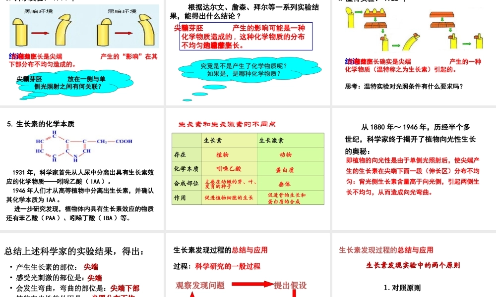 植物生长素的发现 (2)
