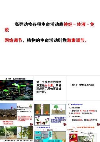 植物生长素的发现 (2)