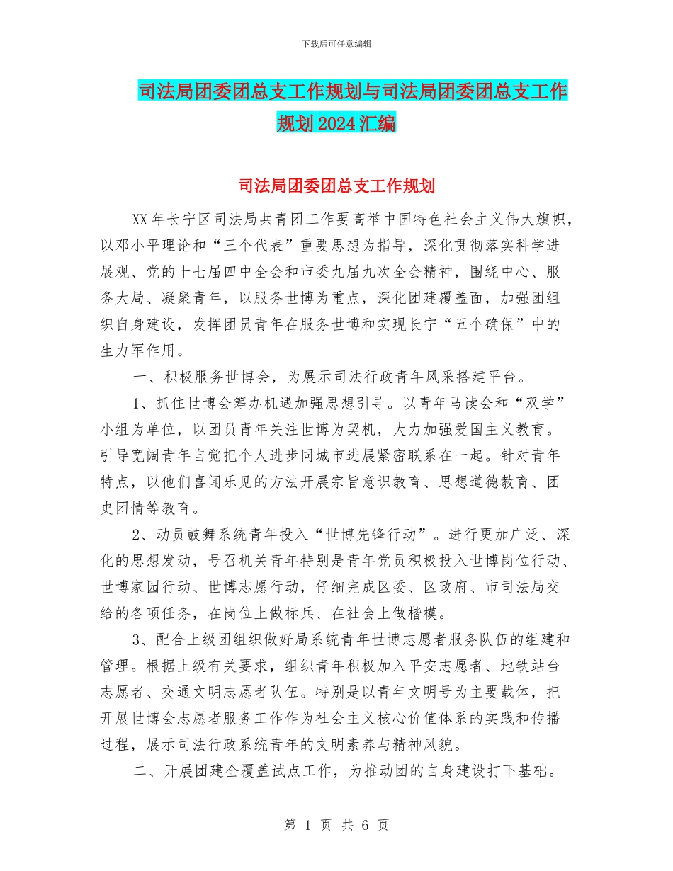 司法局团委团总支工作规划与司法局团委团总支工作规划2024汇编_第1页