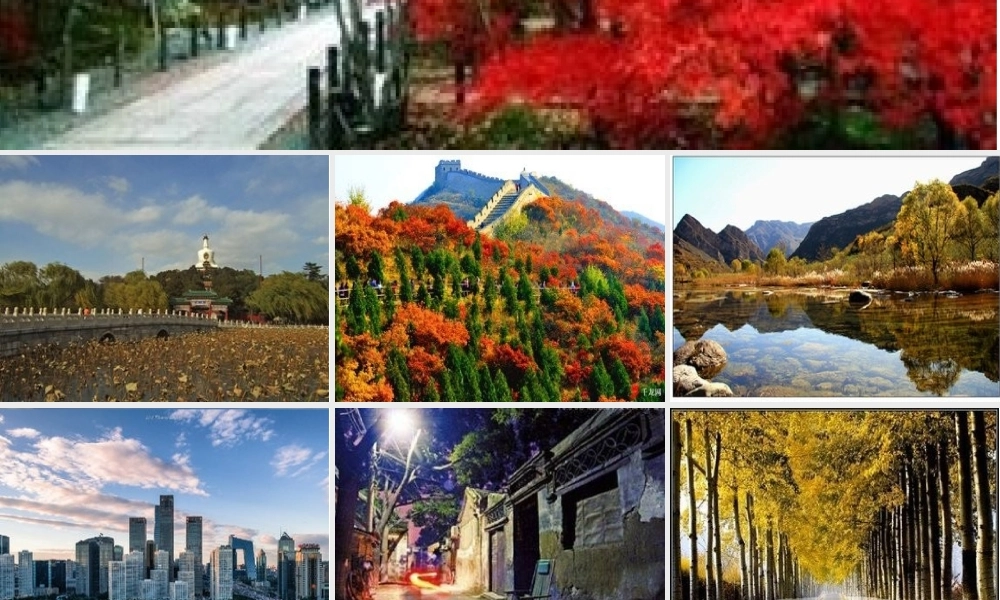 北京的秋天中的景色