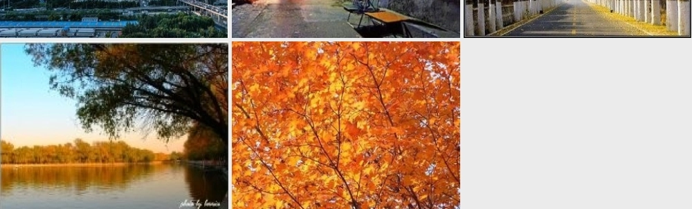 北京的秋天中的景色