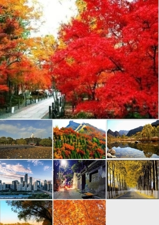 北京的秋天中的景色