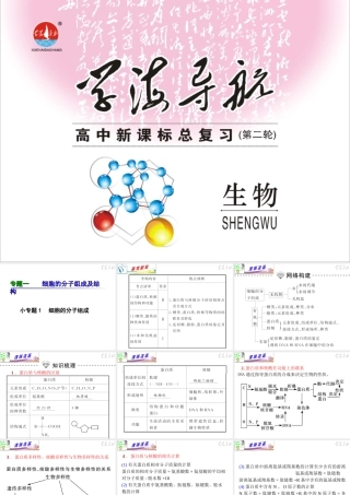 专题1小专题01细胞的分子组成