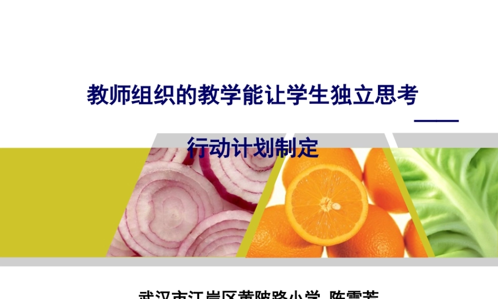 制定行动计划陈雪芳