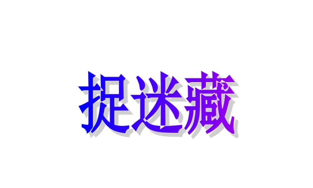 《捉迷藏》课件4