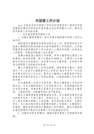 市团委工作计划