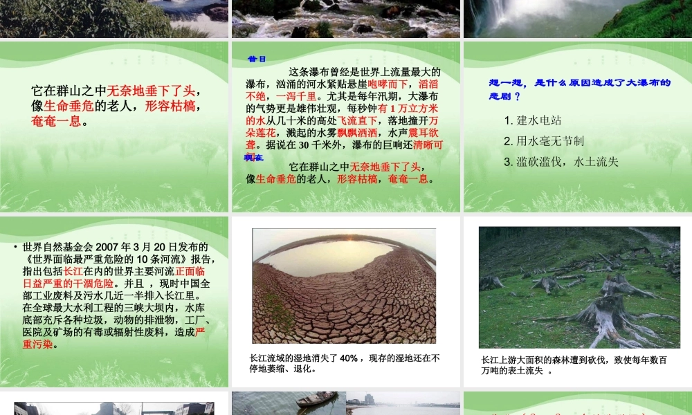 大瀑布的葬礼课件(1)