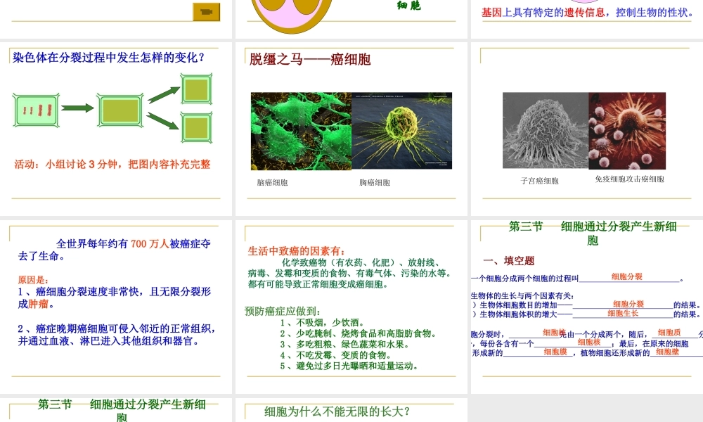第一节细胞通过分裂产生新细胞