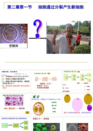 第一节细胞通过分裂产生新细胞