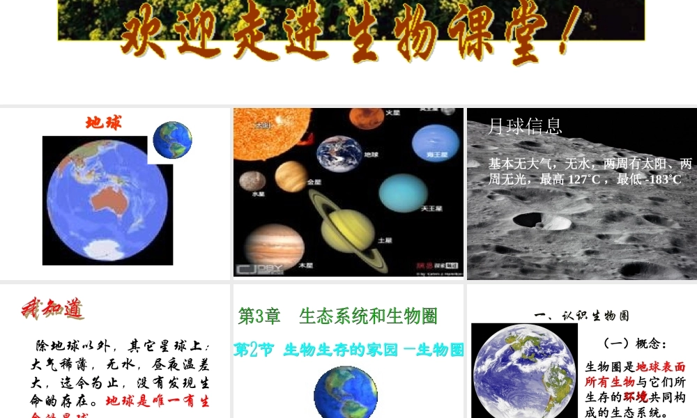 生物生存的家园—生物圈(定）