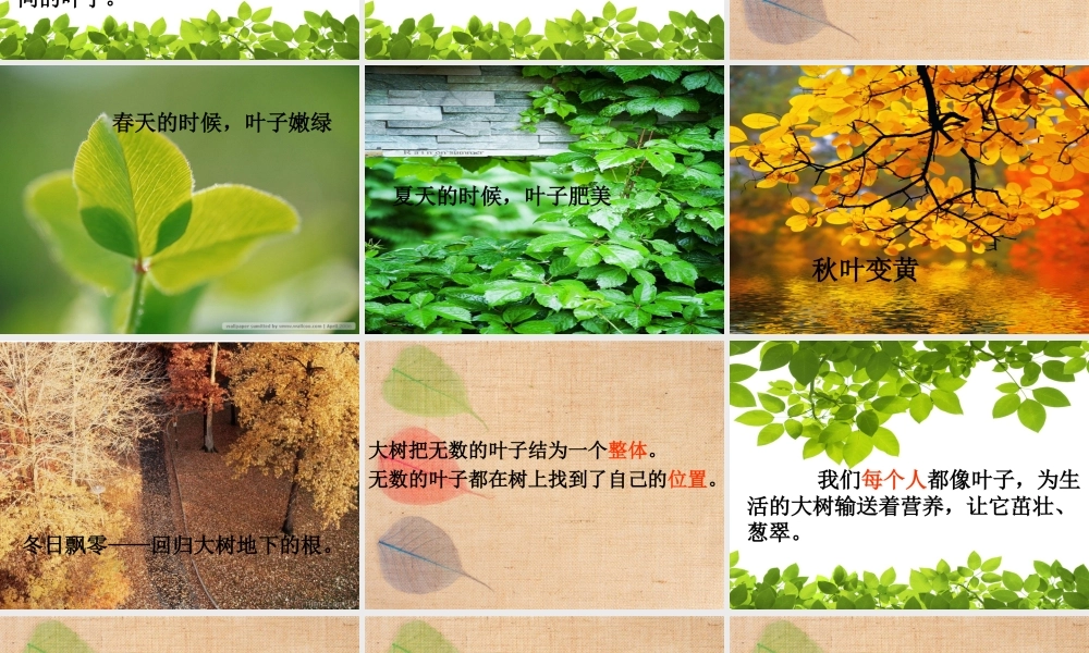 做一片美的叶子 (2)
