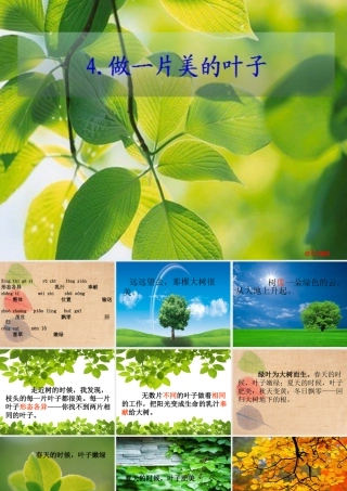 做一片美的叶子 (2)